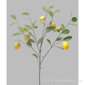 Lemon Branch